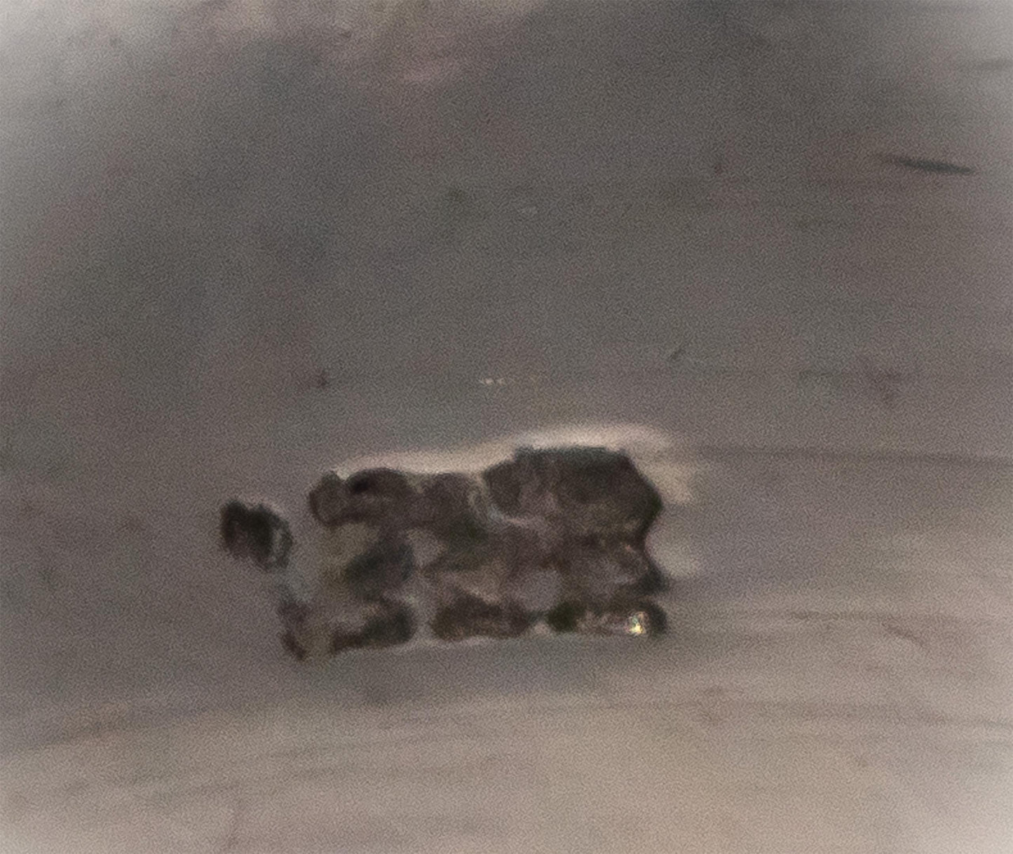 Antique Vintage 14k White Gold 1.0CT VS Round Cut Diamond Ring Size 5