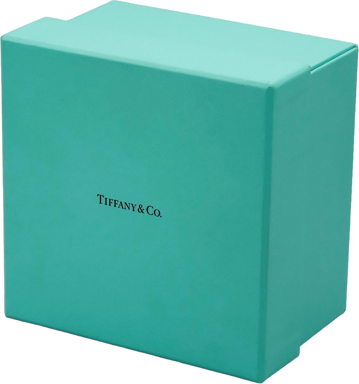 TIFFANY & CO. 18k White Gold VS Diamond Metro 5-Row Bangle Bracelet 3.0CT $37500