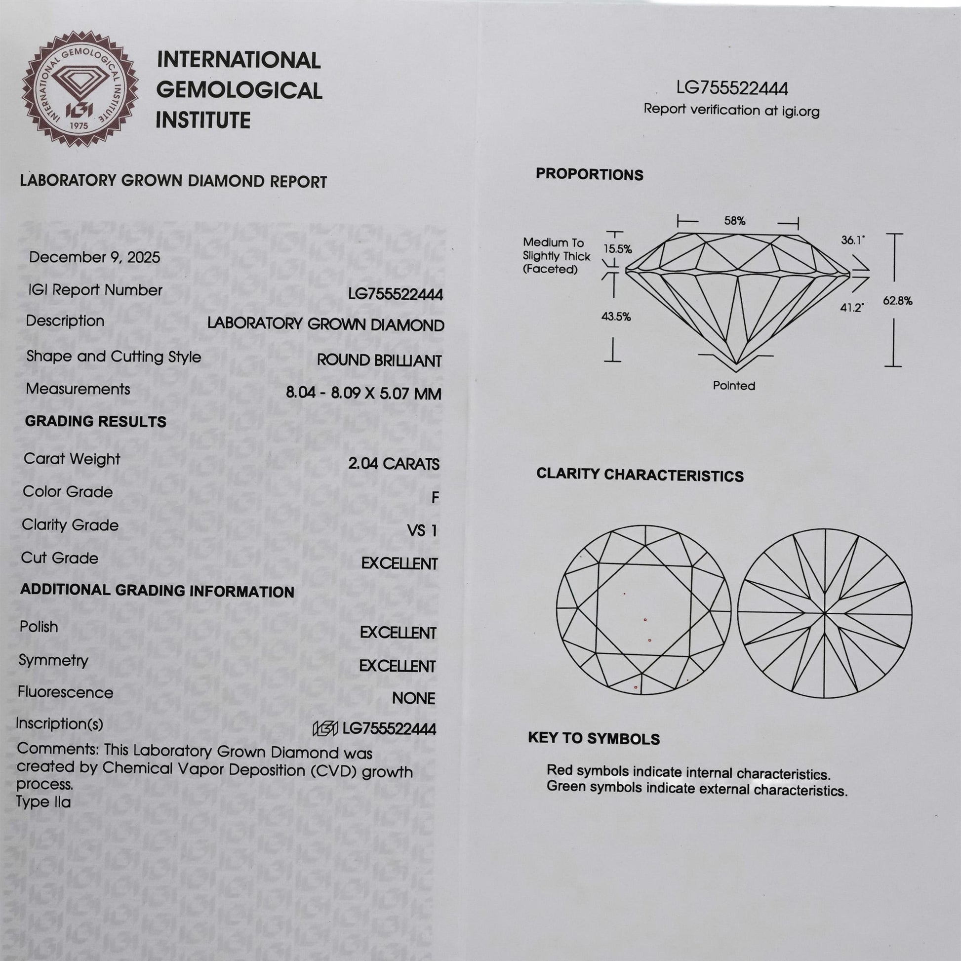 IGI Certified 14k White Gold VS1-VS2/E-F Lab-Grown Diamond Stud Earrings 4.08CT