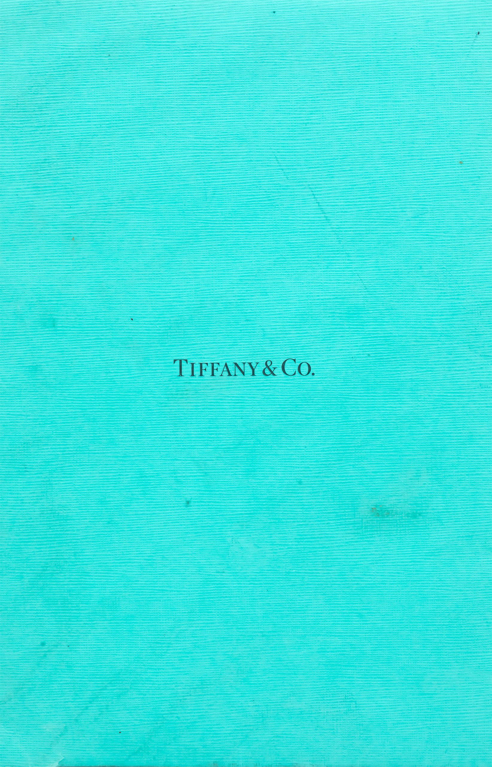 $18500 TIFFANY & CO Platinum Princess H/VVS1 Diamond Engagement Ring 1.31CT