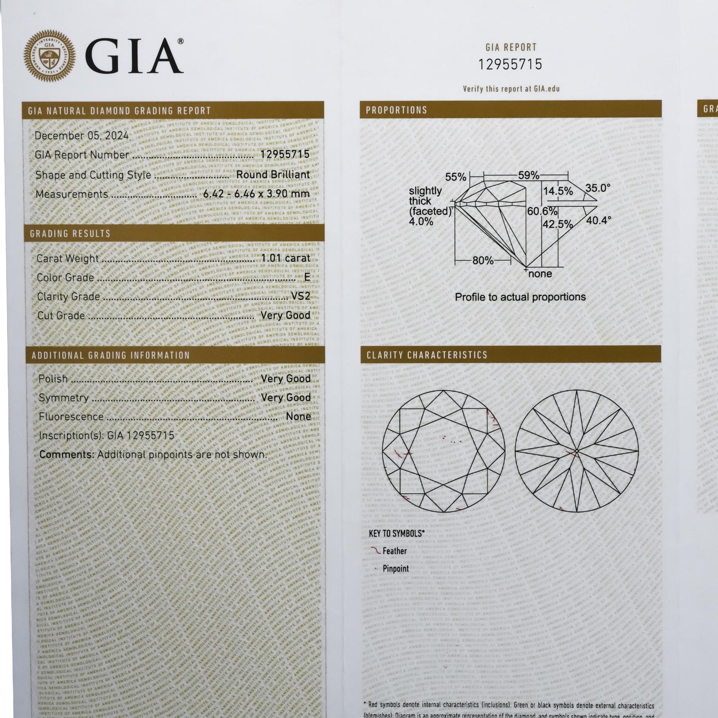 GIA Certified VS2/E Round Cut Natural Diamond Loose Stone 1.01CT