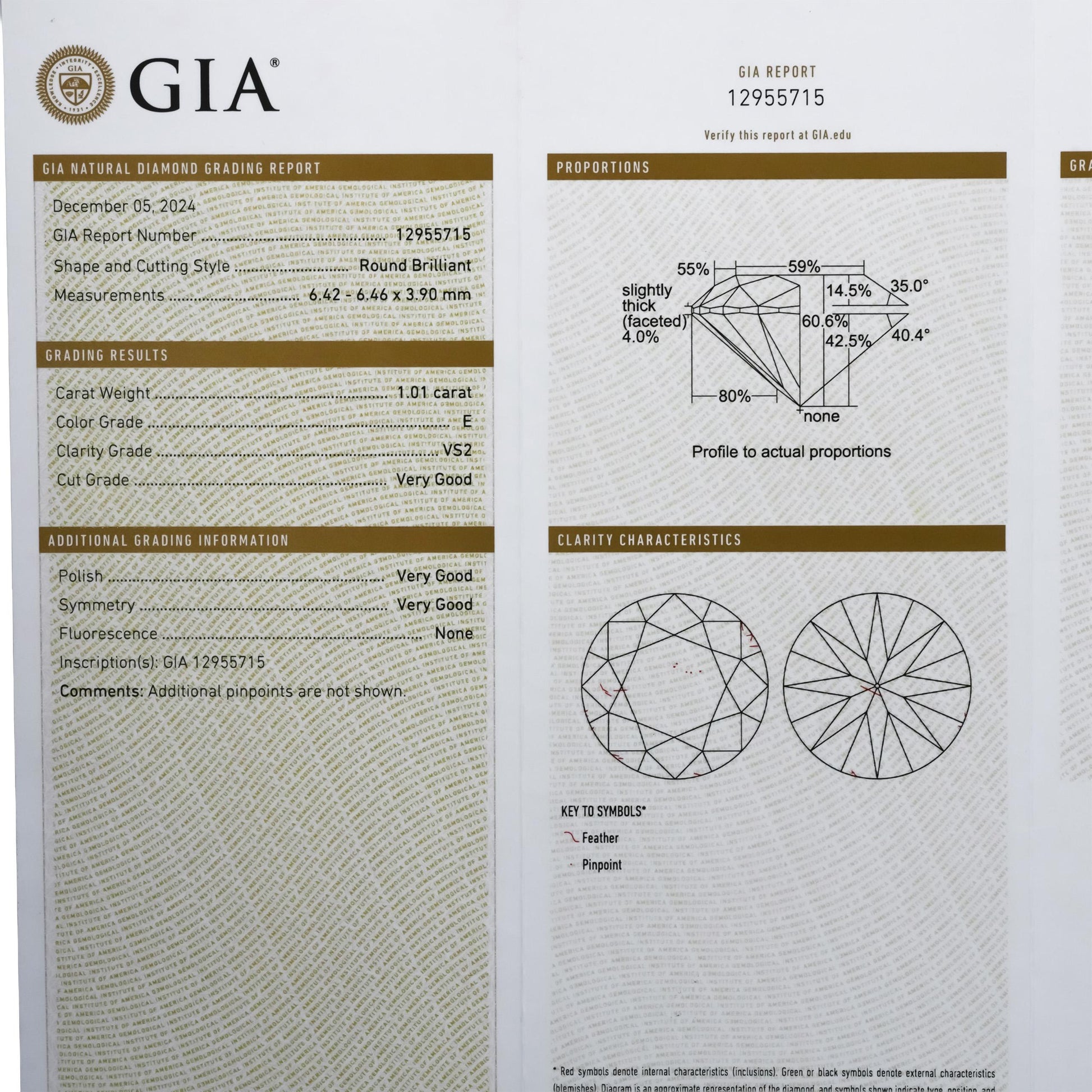 GIA Certified VS2/E Round Cut Natural Diamond Loose Stone 1.01CT