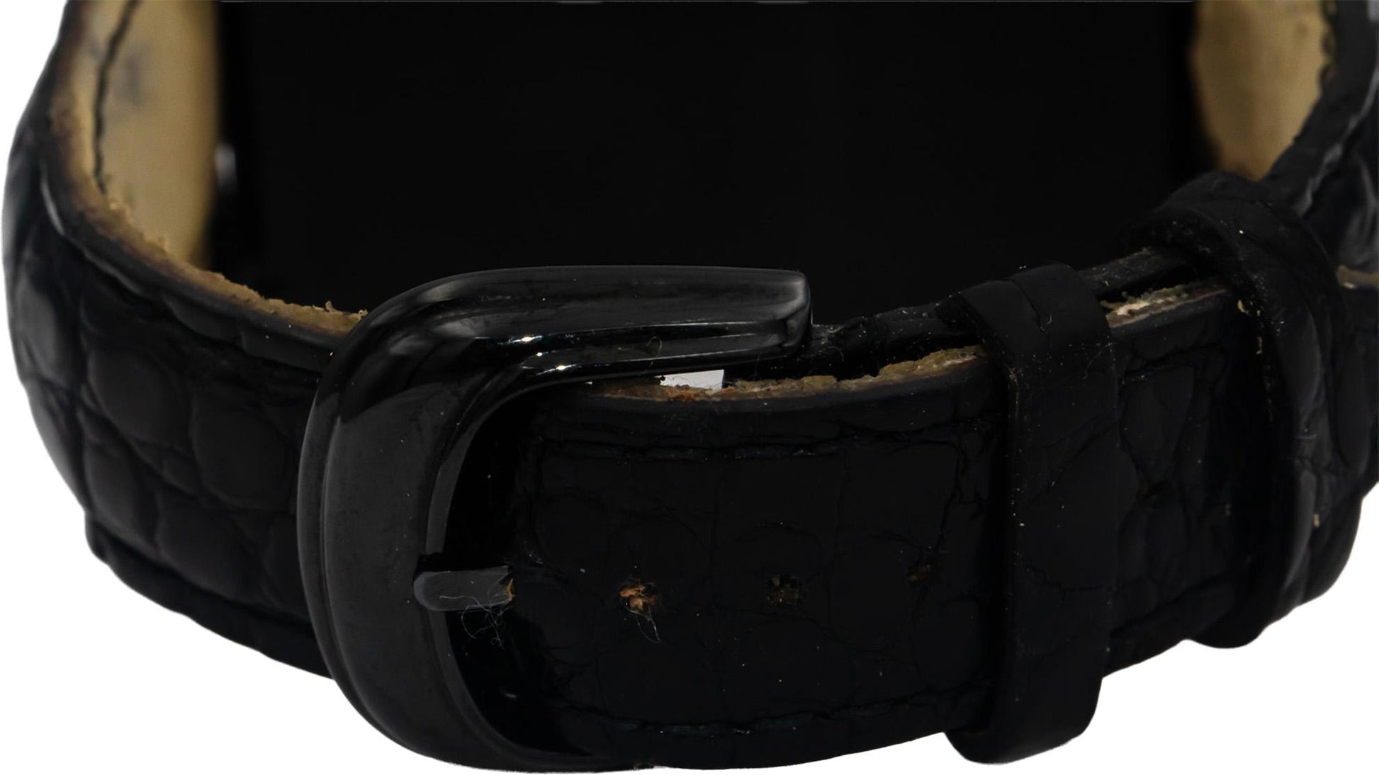 FRANCK MULLER Cintree Curvex "Black Croco" PVD Automatic Watch w/ Box & Papers