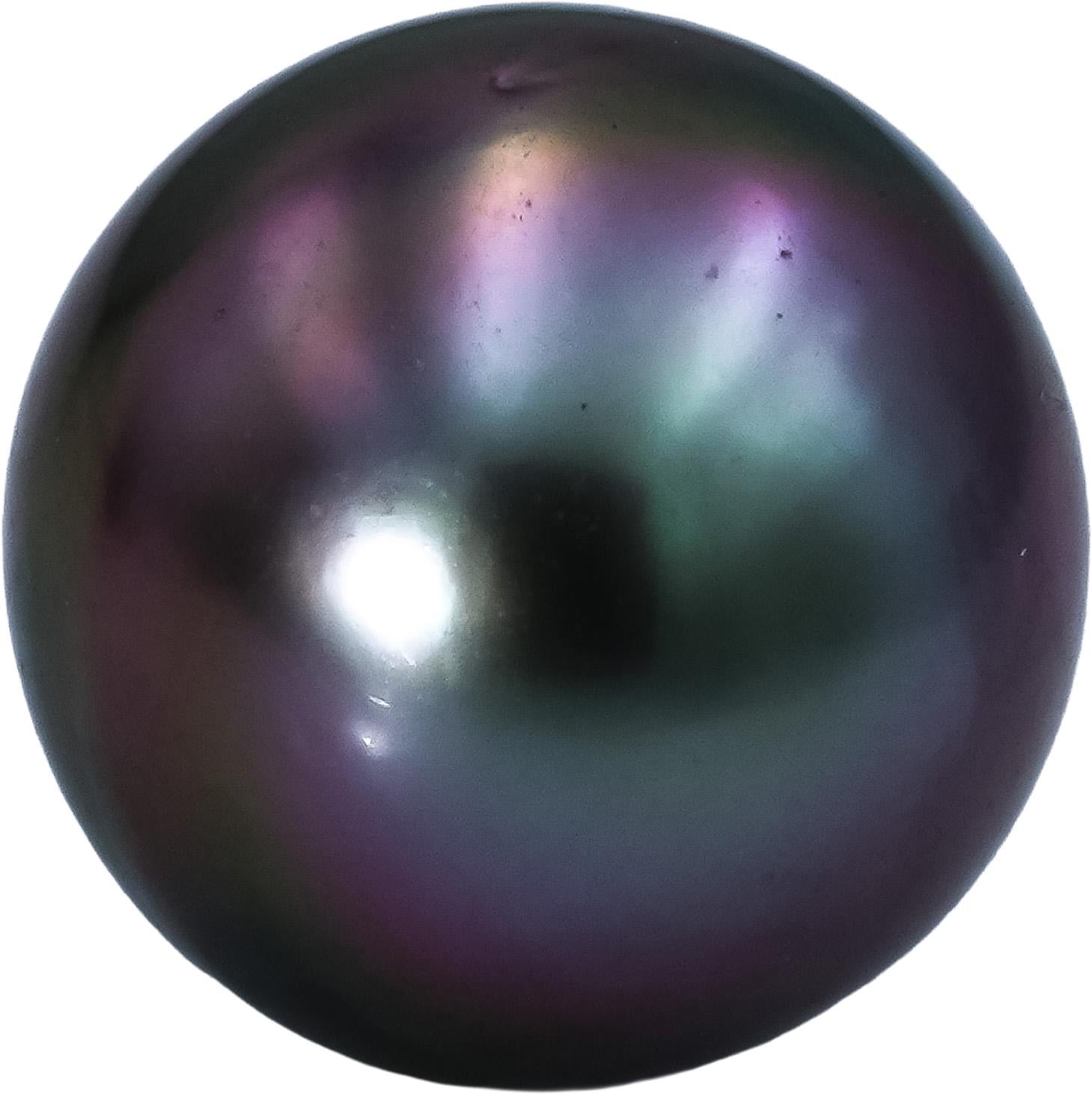 18k Yellow Gold 9.2mm Black Tahitian Pearl Stud Earrings