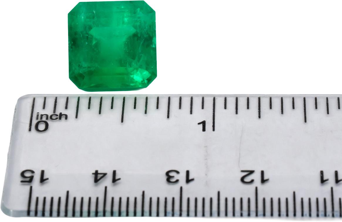 GIA Certified Octagonal Cut Natural Colombian Emerald Loose Gemstone 9.99CT