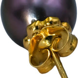 18k Yellow Gold 9.2mm Black Tahitian Pearl Stud Earrings