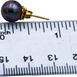 18k Yellow Gold 9.2mm Black Tahitian Pearl Stud Earrings