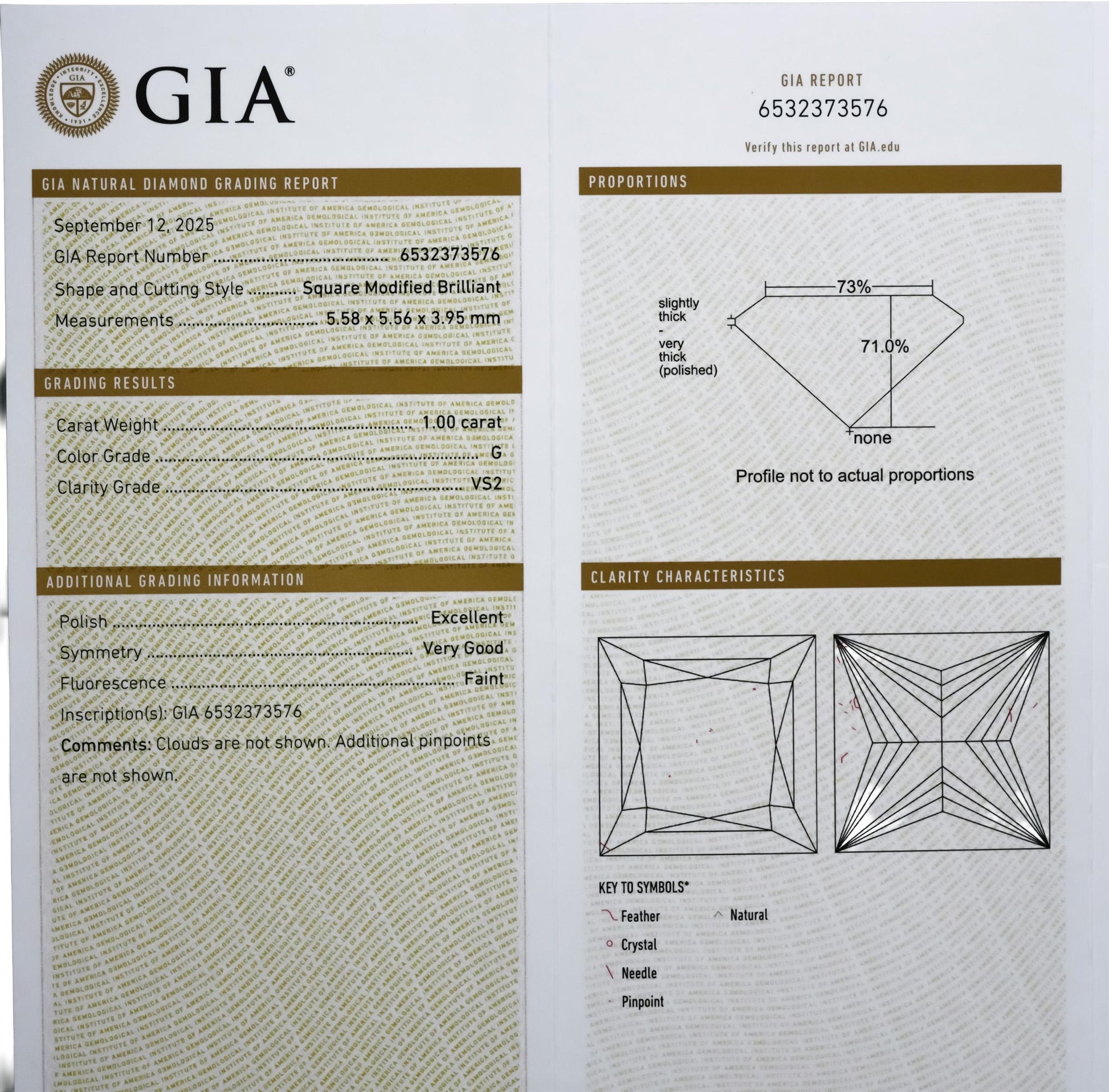 GIA Certified VS2/G Princess Cut Natural Diamond Loose Stone 1.00CT