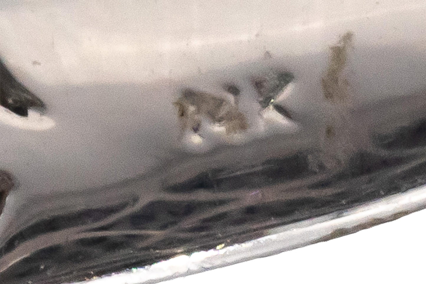 14k White Gold Round Black Diamond Cluster Dome Ring 2.31CT Size 7