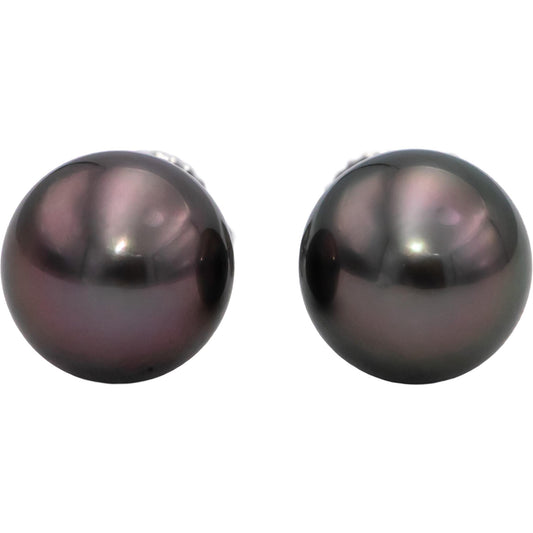 TIFFANY & CO. 18k White Gold Black Pearl Stud Earrings $1375 Retail 9.3mm