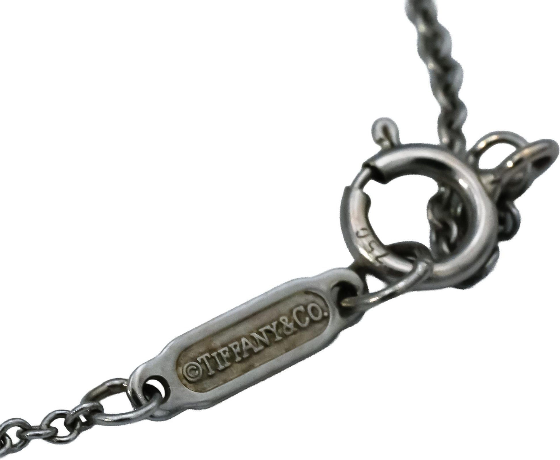 TIFFANY & CO. Platinum and 18k Gold Diamond Petals Key Pendant Necklace 1.18CT
