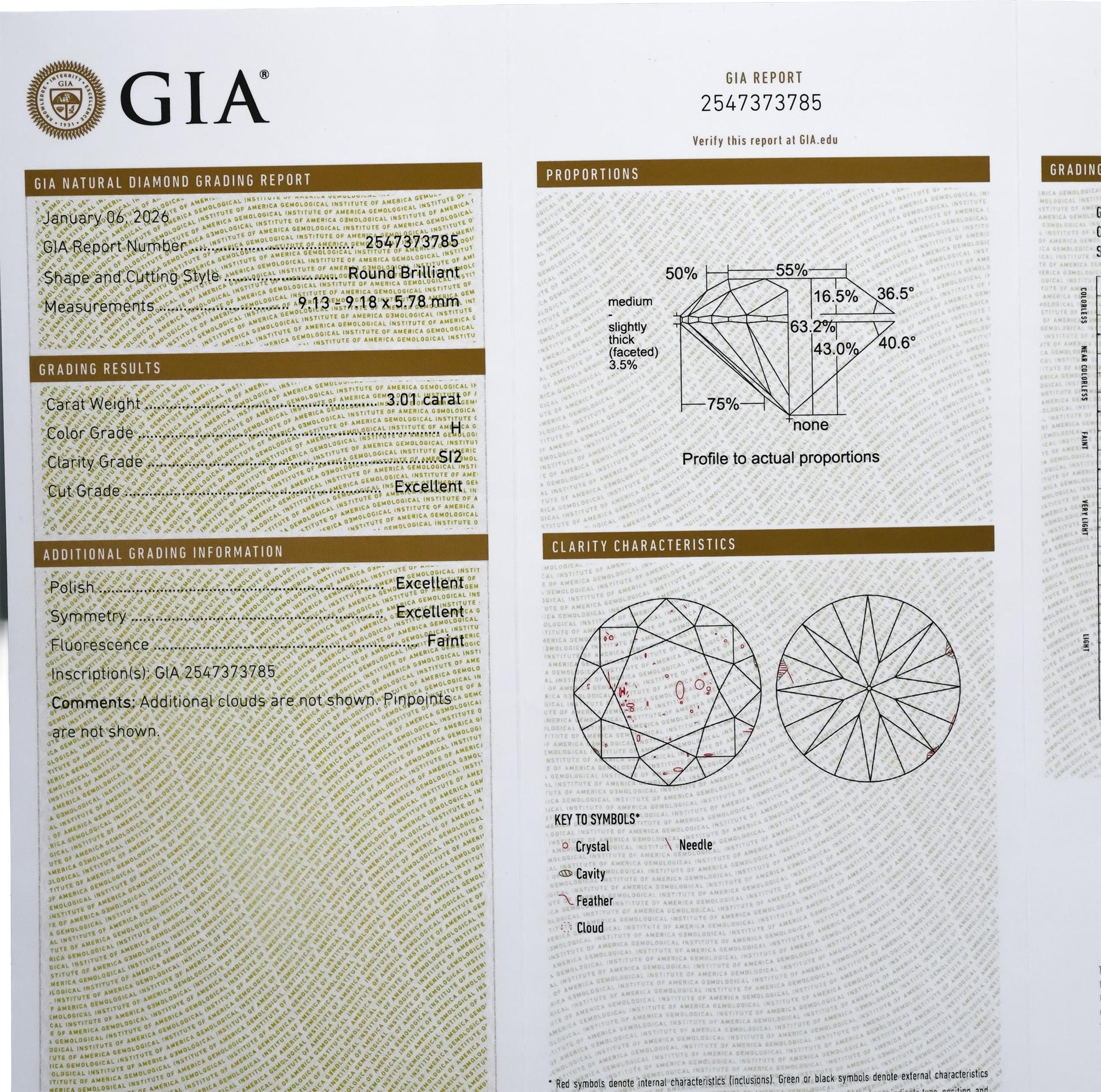 GIA Certified SI2/H Round Cut Natural Diamond Loose Stone 3.01CT