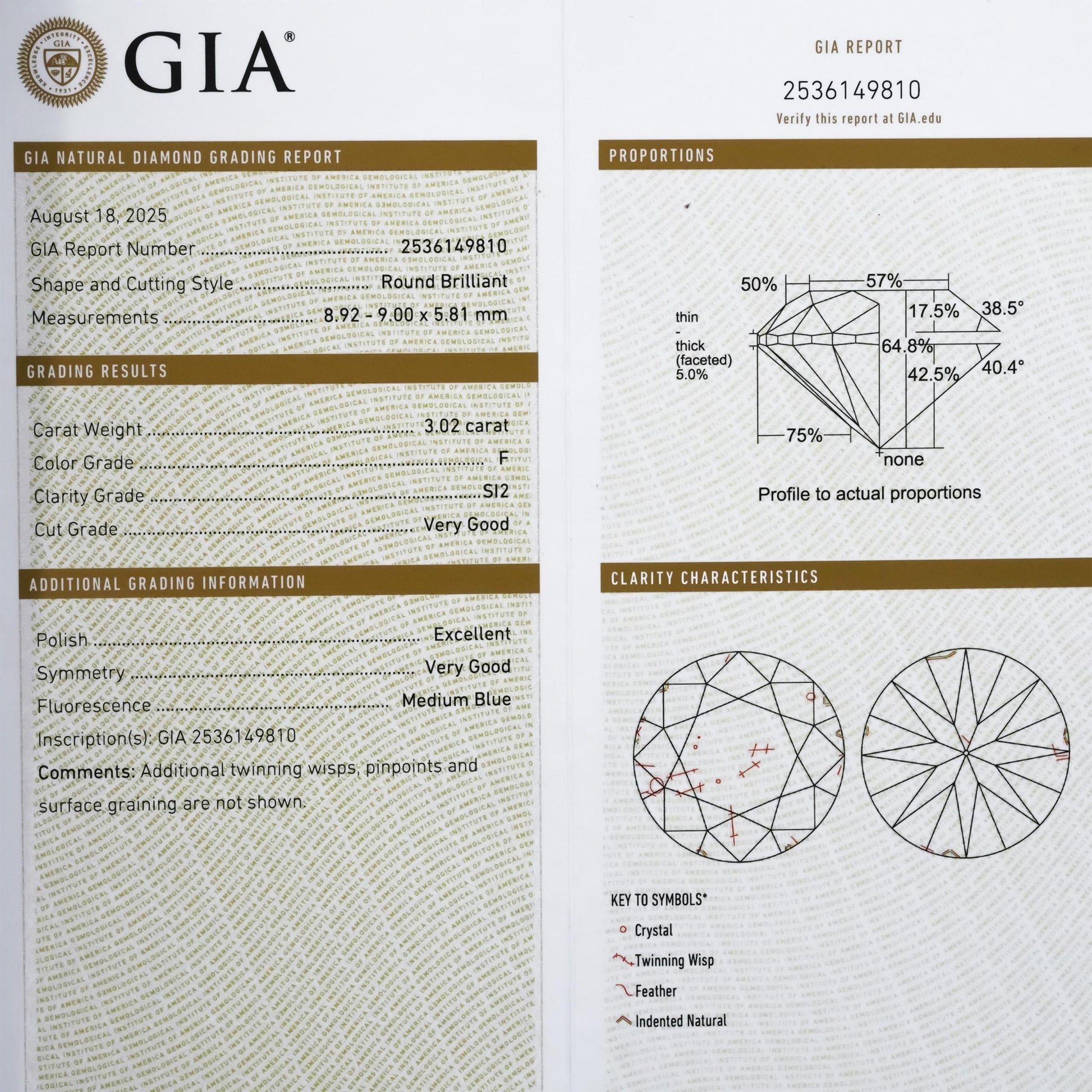 GIA Certified SI2/F Round Cut Natural Diamond Loose Stone 3.02CT