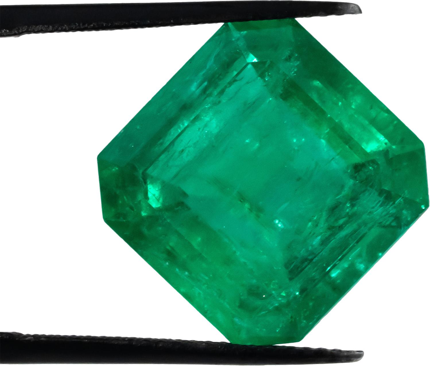 GIA Certified Octagon Cut Natural Colombian Emerald Loose Stone 13.47CT