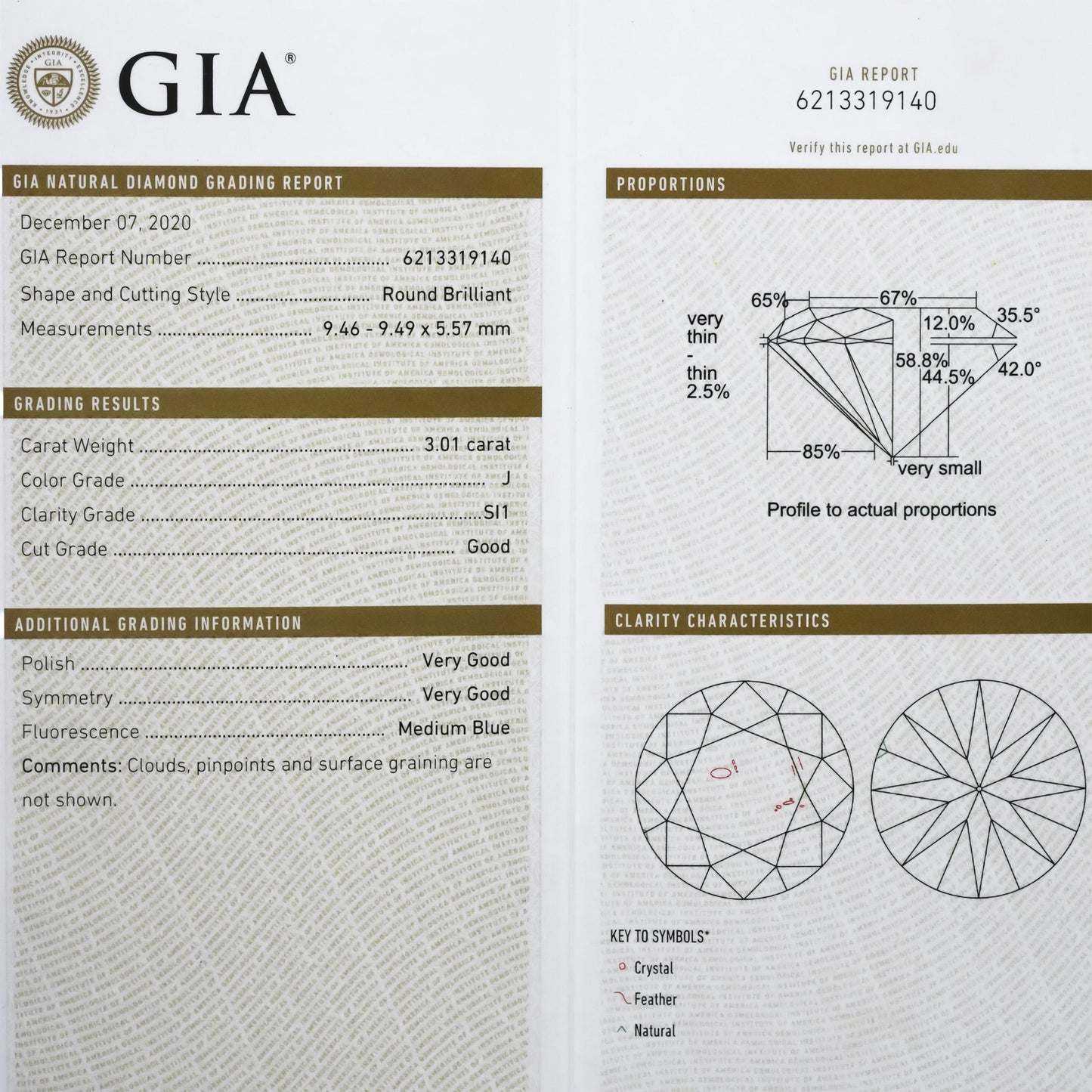 GIA Certified SI1/J Round Cut Natural Diamond Loose Stone 3.01