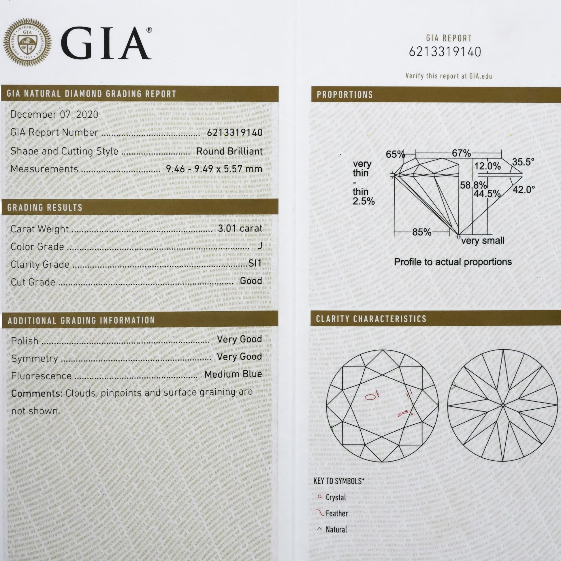 GIA Certified SI1/J Round Cut Natural Diamond Loose Stone 3.01