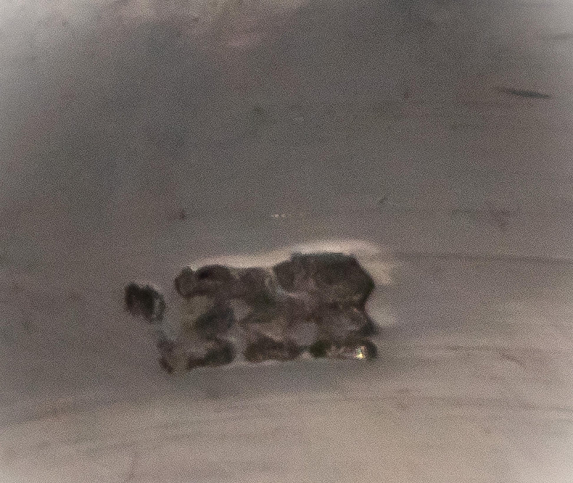 Antique Vintage 14k White Gold 1.0CT VS Round Cut Diamond Ring Size 5