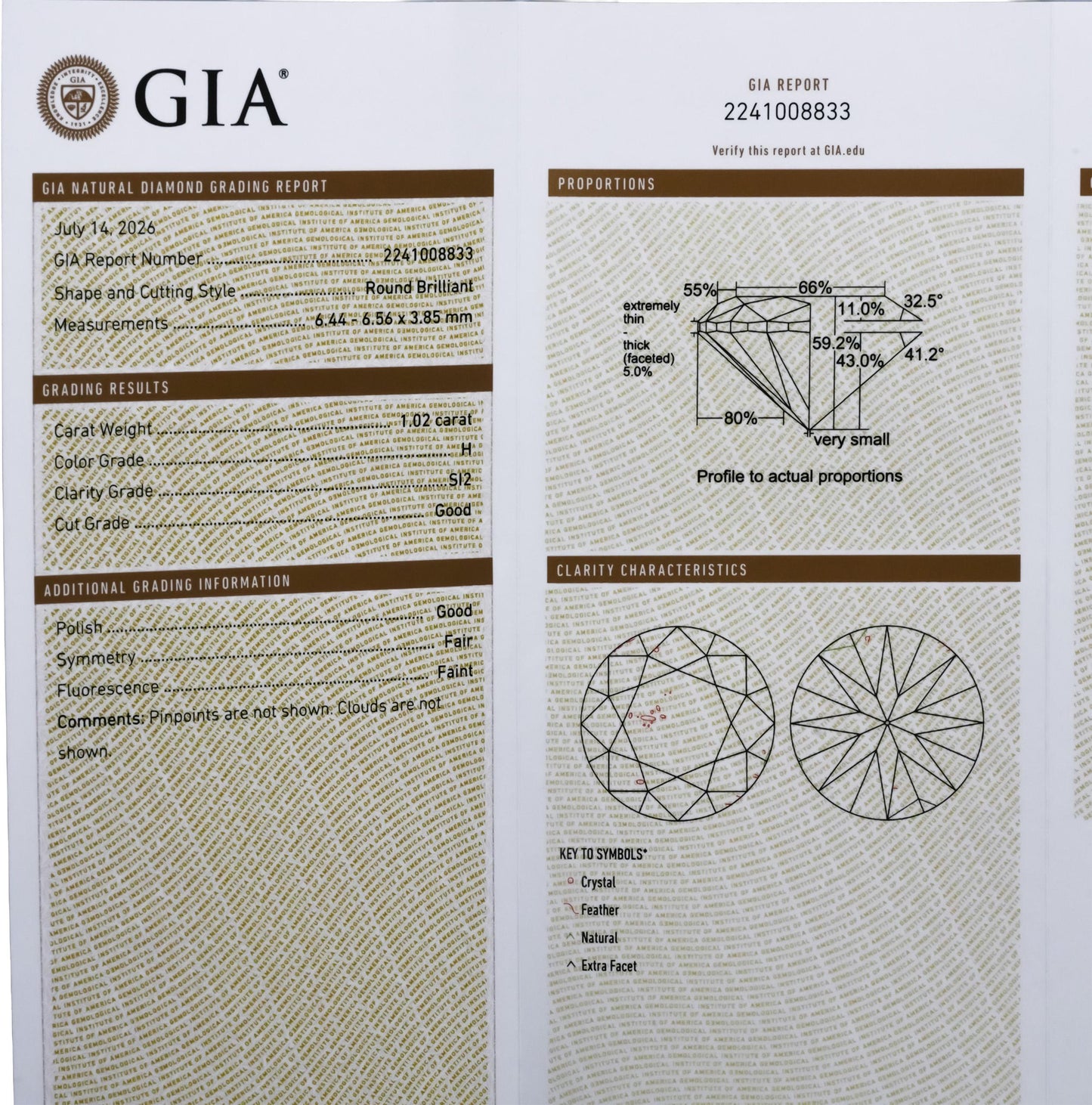 GIA Certified SI2/H Round Cut Natural Diamond Loose Stone 1.02CT